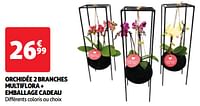 Promotions Orchidée 2 branches multiflora + emballage cadeau - Produit Maison - Auchan Ronq - Valide de 22/05/2024 à 27/05/2024 chez Auchan Ronq