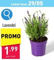 Promoties Lavendel - Huismerk - Aldi - Geldig van 27/05/2024 tot 02/06/2024 bij Aldi