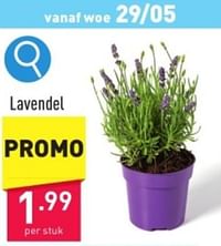 Lavendel-Huismerk - Aldi
