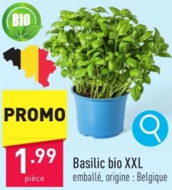 Promotions Basilic bio xxl - Produit maison - Aldi - Valide de 27/05/2024 à 01/06/2024 chez Aldi