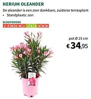 Promoties Nerium oleander - Huismerk - Horta - Geldig van 22/05/2024 tot 02/06/2024 bij Horta