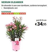 Nerium oleander-Huismerk - Horta