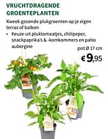 Promoties Vruchtdragende groenteplanten - Huismerk - Horta - Geldig van 22/05/2024 tot 02/06/2024 bij Horta
