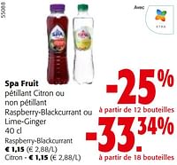 Promotions Spa fruit pétillant citron ou non pétillant raspberry-blackcurrant ou lime-ginger - Spa - Valide de 22/05/2024 à 04/06/2024 chez Colruyt
