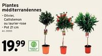 Promotions Plantes méditerranéennes - Produit maison - Gamma - Valide de 22/05/2024 à 04/06/2024 chez Gamma