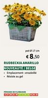 Promotions Rudbeckia amarillo - Produit maison - Horta - Valide de 22/05/2024 à 02/06/2024 chez Horta