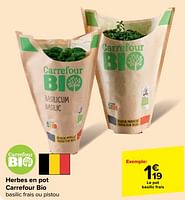 Promotions Herbes en pot carrefour bio - Produit maison - Carrefour  - Valide de 29/05/2024 à 04/06/2024 chez Carrefour