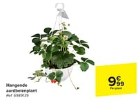Promoties Hangende aardbeienplant - Huismerk - Carrefour  - Geldig van 29/05/2024 tot 10/06/2024 bij Carrefour