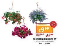 Promoties Bloemen in hangpot - Huismerk - Trafic  - Geldig van 29/05/2024 tot 03/06/2024 bij Trafic