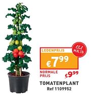 Promoties Tomatenplant - Huismerk - Trafic  - Geldig van 29/05/2024 tot 03/06/2024 bij Trafic