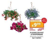 Promotions Fleurs en pot a suspendre - Produit maison - Trafic  - Valide de 29/05/2024 à 03/06/2024 chez Trafic