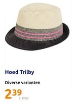Promoties Hoed trilby - Huismerk - Action - Geldig van 29/05/2024 tot 04/06/2024 bij Action