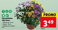 Promotions Chrysanthème elle fleur - Produit maison - Lidl - Valide de 05/06/2024 à 11/06/2024 chez Lidl