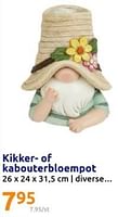 Promoties Kikker- of kabouterbloempot - Huismerk - Action - Geldig van 05/06/2024 tot 11/06/2024 bij Action