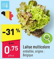 Promotions Laitue multicolore - Produit maison - Aldi - Valide de 10/06/2024 à 16/06/2024 chez Aldi