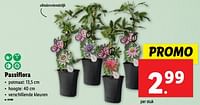 Promoties Passiflora - Huismerk - Lidl - Geldig van 12/06/2024 tot 18/06/2024 bij Lidl