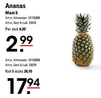 Promoties Ananas - Huismerk - Sligro - Geldig van 11/06/2024 tot 15/06/2024 bij Sligro