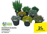 Promotions Assortiment de plantes aromatiques - Produit maison - Carrefour  - Valide de 05/06/2024 à 17/06/2024 chez Carrefour