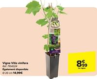 Promotions Vigne vitis vinifera - Produit maison - Carrefour  - Valide de 05/06/2024 à 17/06/2024 chez Carrefour