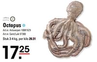 Promoties Octopus - Smit Vis - Geldig van 06/06/2024 tot 24/06/2024 bij Sligro