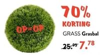 Promoties Grass grasbal - Huismerk - Casa - Geldig van 10/06/2024 tot 30/06/2024 bij Casa