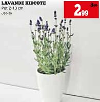 Promotions Lavande hidcote - Produit maison - Dema - Valide de 03/06/2024 à 30/06/2024 chez Dema