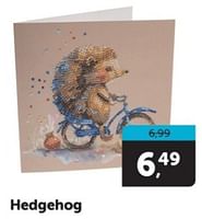 Promoties Hedgehog - Huismerk - Boekenvoordeel - Geldig van 15/06/2024 tot 25/06/2024 bij BoekenVoordeel