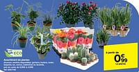 Promotions Assortiment de plantes - Produit maison - Carrefour  - Valide de 19/06/2024 à 01/07/2024 chez Carrefour