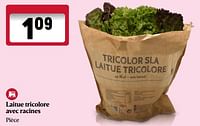Promotions Laitue tricolore avec racines - Produit Maison - Delhaize - Valide de 20/06/2024 à 26/06/2024 chez Delhaize