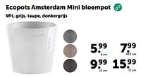 Promoties Ecopots amsterdam mini bloempot - Ecopots - Geldig van 19/06/2024 tot 30/06/2024 bij Aveve