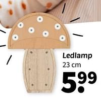 Ledlamp-Huismerk - Wibra