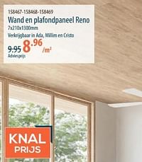 Wand en plafondpaneel reno-Huismerk - Cevo
