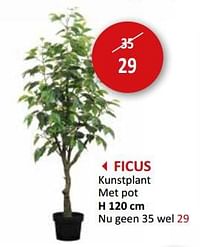 Ficus kunstplant met pot-Huismerk - Weba