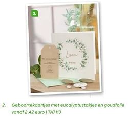 Geboortekaartjes met eucalyptustakjes en goudfolie