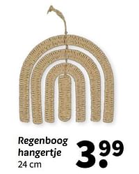 Regenboog hangertje-Huismerk - Wibra