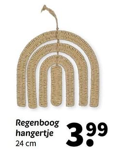 Regenboog hangertje