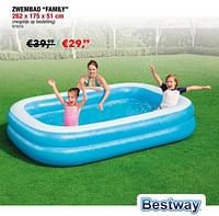 Zwembad family-BestWay