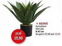 AGAVE Kunstplant met pot-Huismerk - Weba