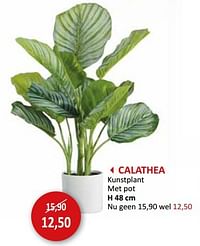 CALATHEA Kunstplant met pot-Huismerk - Weba