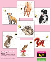 Bree merryn diamond art card kit-Huismerk - Boekenvoordeel