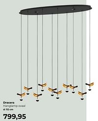 Dracera hanglamp ovaal-Huismerk - Lampidee