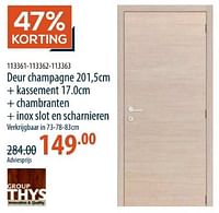 Deur champagne + kassement + chambranten + inox slot en scharnieren-Thys