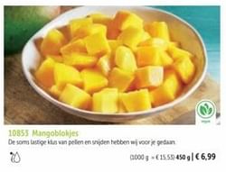 Mangoblokjes