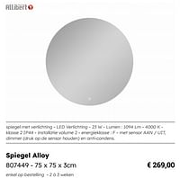 Spiegel alloy-Allibert