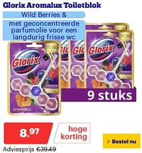 Glorix aromalux toiletblok wild berries-Glorix