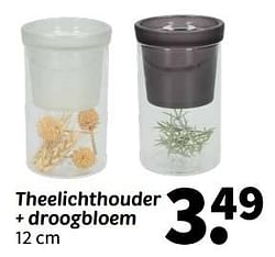 Theelichthouder + droogbloem