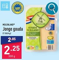 Jonge gouda-MOLENLAND