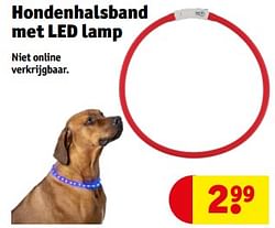 Hondenhalsband met led lamp