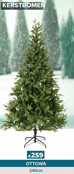 Kerstbomen ottowa