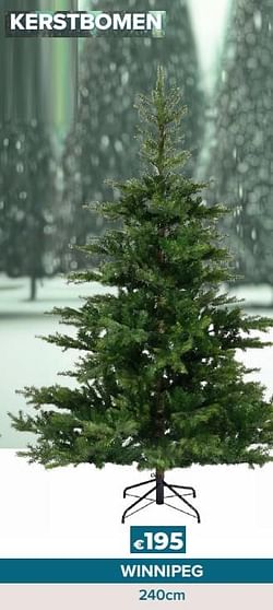 Kerstbomen winnipeg